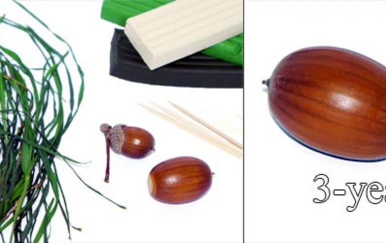 Ideas for original autumn crafts from acorns