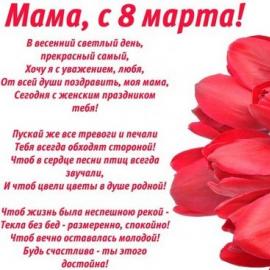 Feliz día de la mujer 8 de marzo a mamá.