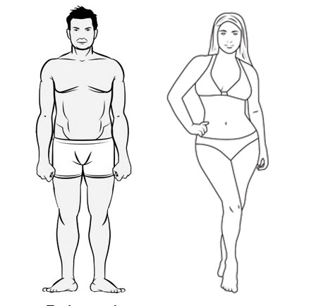 Фигура человека название. Эндоморф референс. Типы мужских фигур. Типы телосложения у мужчин. Телосложение мужчины по параметрам.
